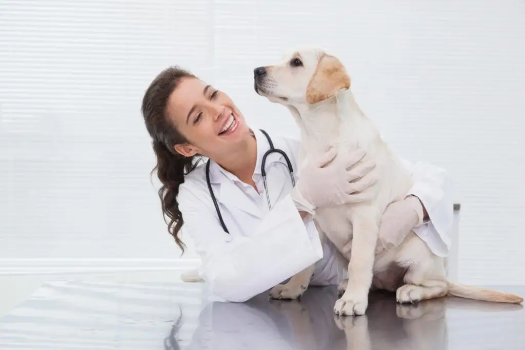 Smiling doctor sitting with a dog during an emotional support animal consultation