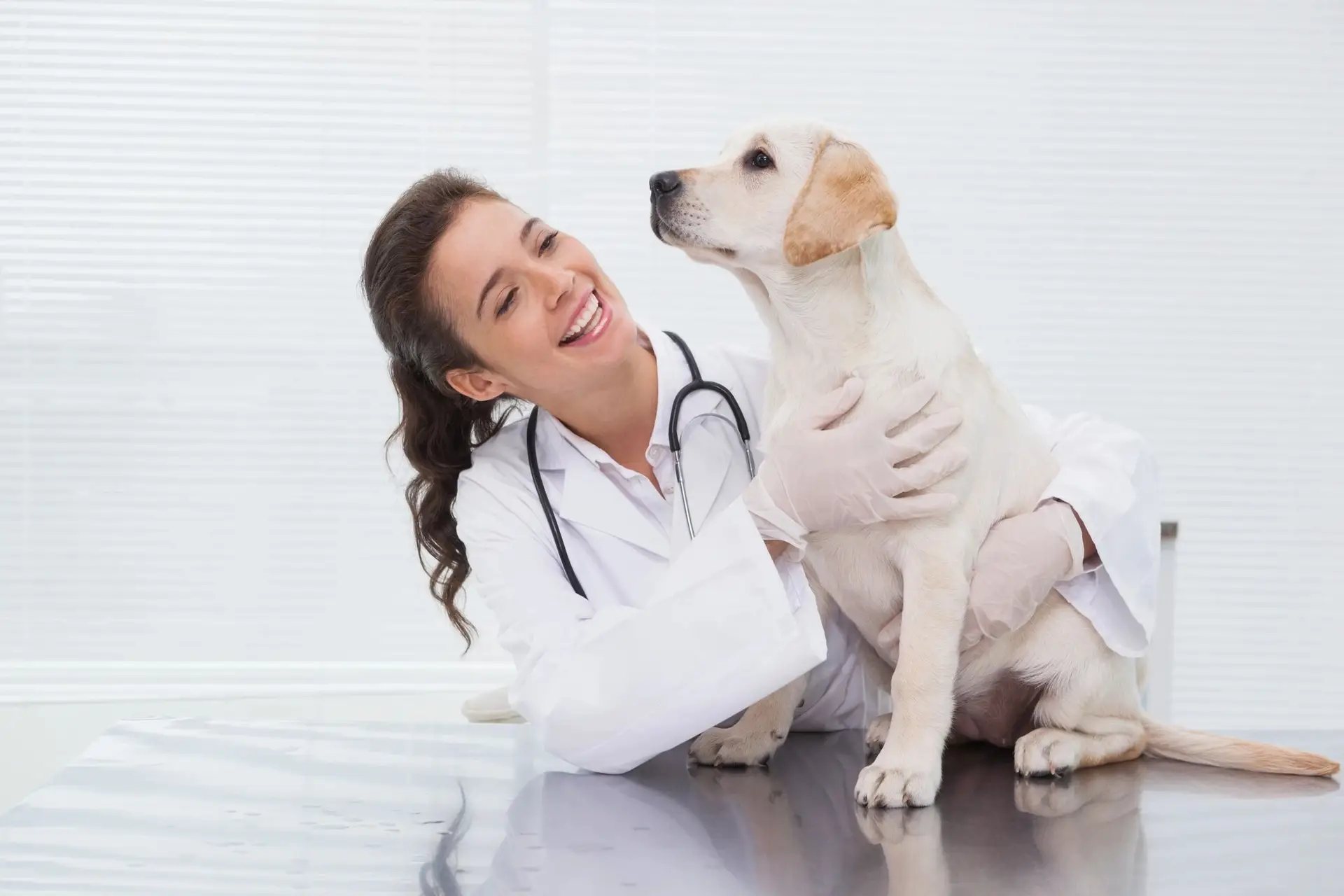 How to Talk to Your Doctor About an ESA Letter
